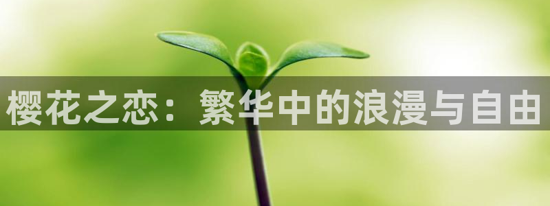 星空影视软件