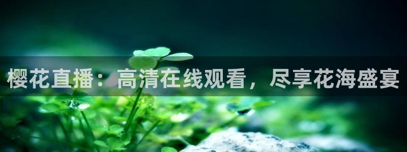 蜜桃视频在线观看电视剧免费播放电视剧