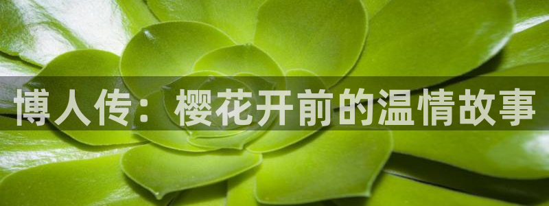 蜜桃视频手机免费下载