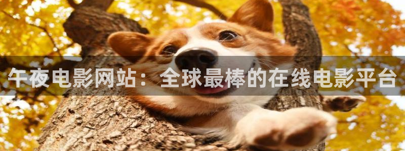 蜜桃视频免费观看电视剧电影