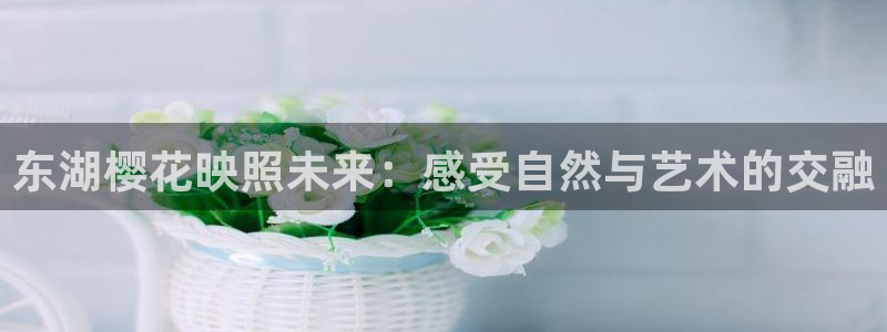 蜜桃视频在线观看免费完整