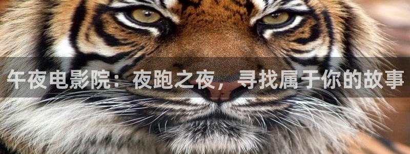 星空影视app最新版本
