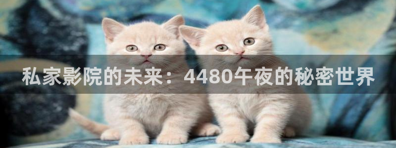 斛珠夫人电视剧蜜桃视频