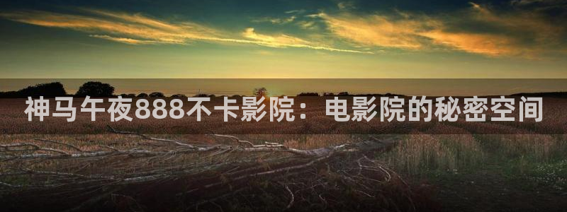纳雍星空影城
