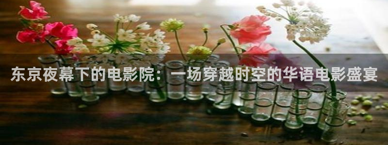 星空影视破解版下载