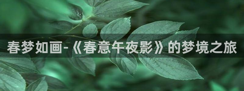 蜜桃视频伦理片