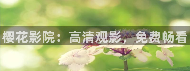 郑州蜜桃视频影讯