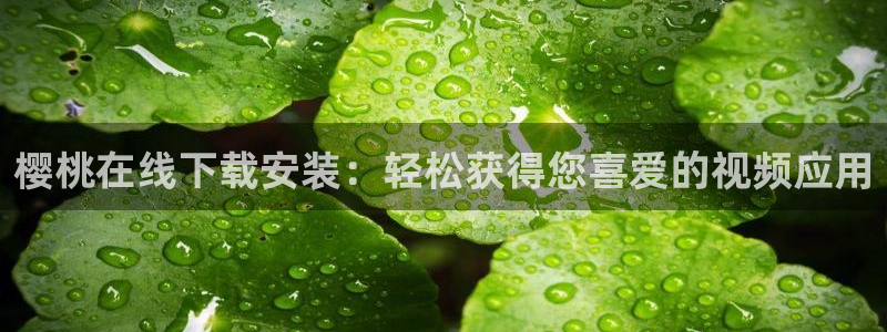 星空电影高清完整版免费观看