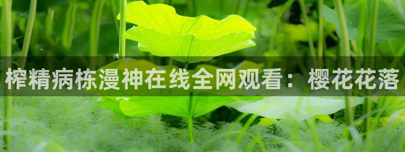 星空的照片图片