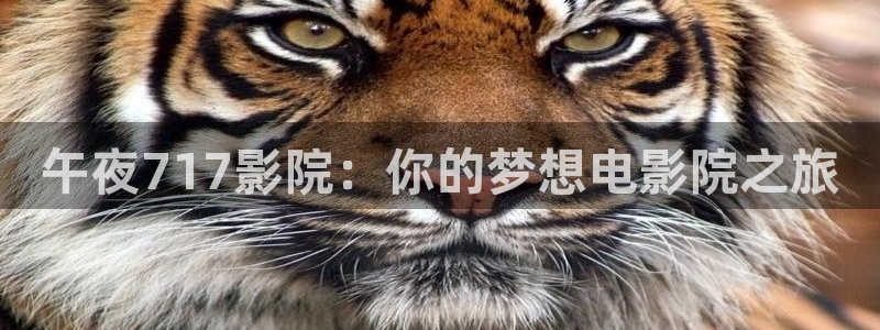 蜜桃视频在线高清观看