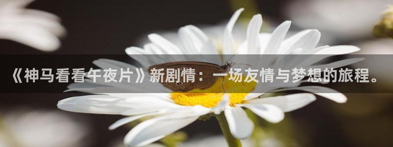 蜜桃视频最新电影