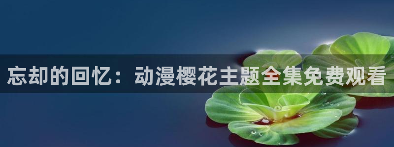 星空影视app官网