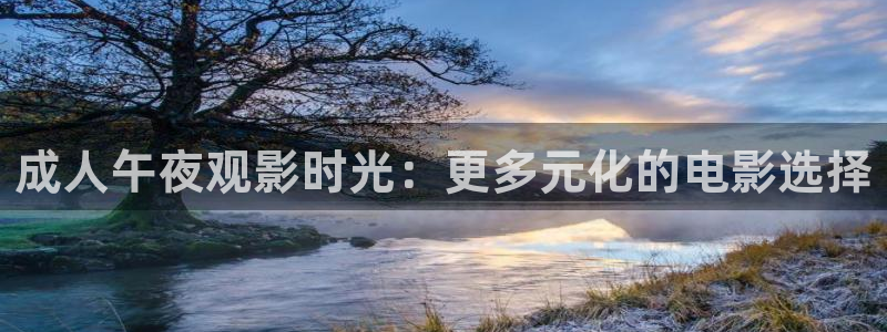 梵高的星空的电影