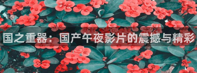 女士的品格蜜桃视频