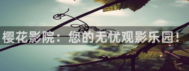 蜜桃视频高清在线播放