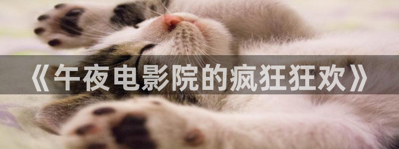 星空视频在线观看免费播放电影