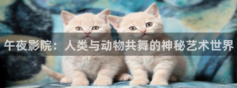 仙逆蜜桃视频