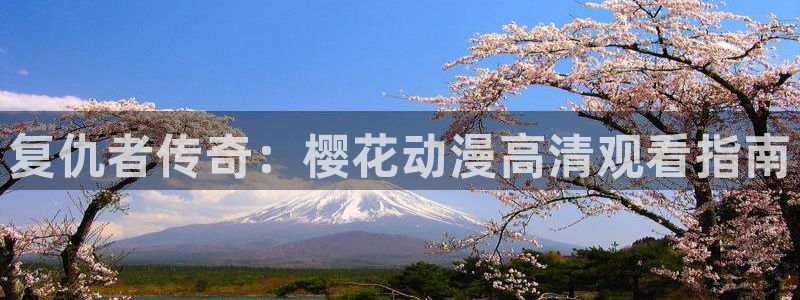 星空影视大全免费版官网