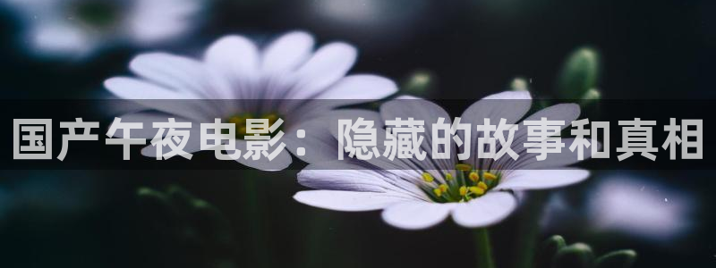 蜜桃视频 私人影院
