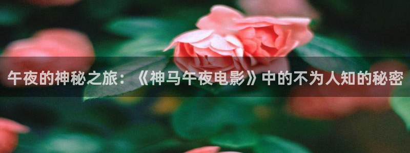 蜜桃视频电影在线观看免费高清