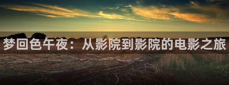 星空影城电影放映表
