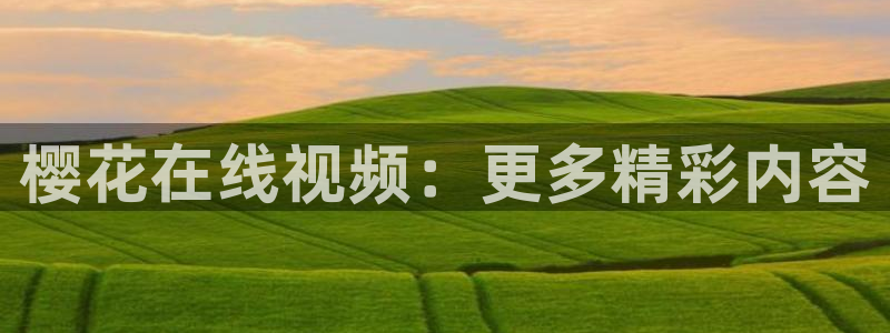 星空传媒在线播放