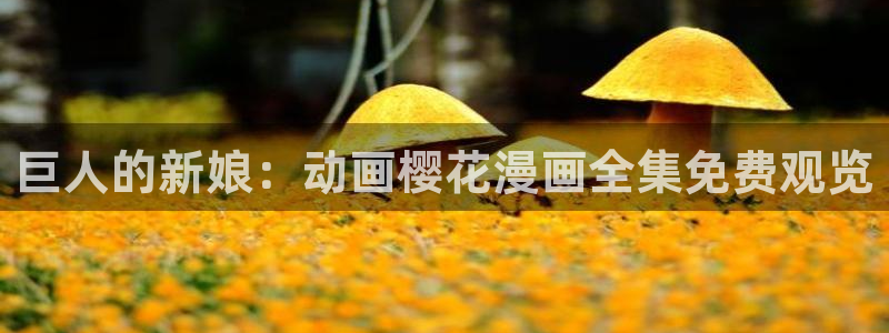 蜜桃视频电视在线观看免费