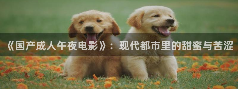 宿州星空电影影讯