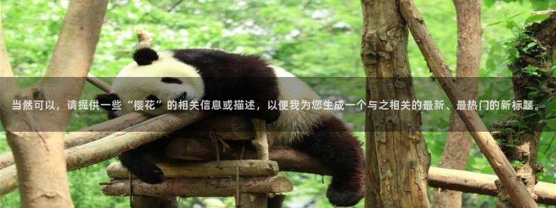 蜜桃视频电影在线观看动漫免费