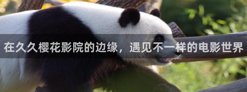 星空传媒影视大全免费观看