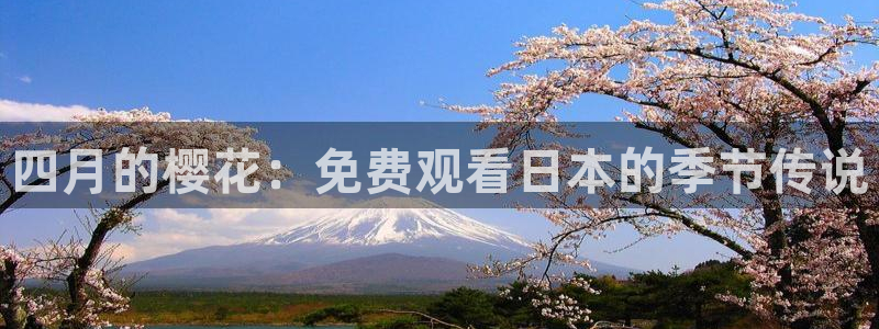 蜜桃视频高清电影热播电视剧