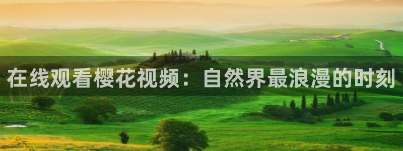 动漫蜜桃视频