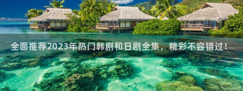 星空视频在线