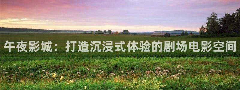 电影星空里的拼图
