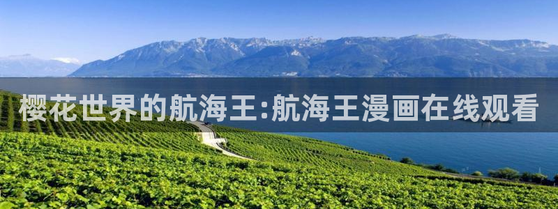 蜜桃视频手机免费观看电影在线播放