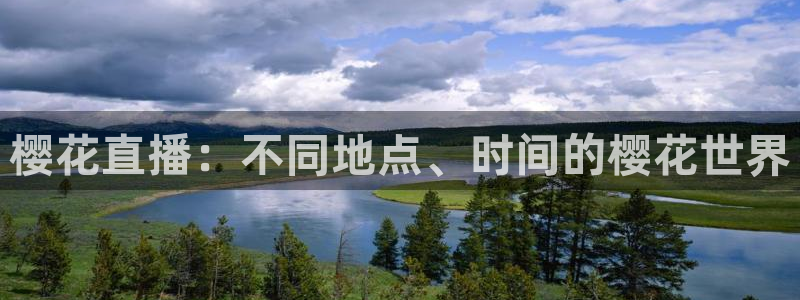 星空影视大片免费看