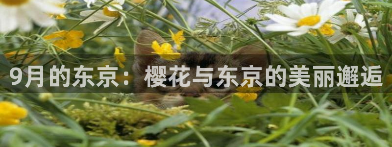 星空影视在线观看免费全集